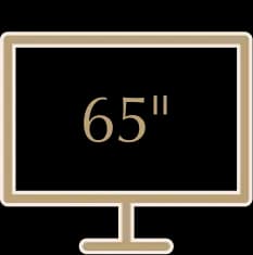 65" LED TV for presentations